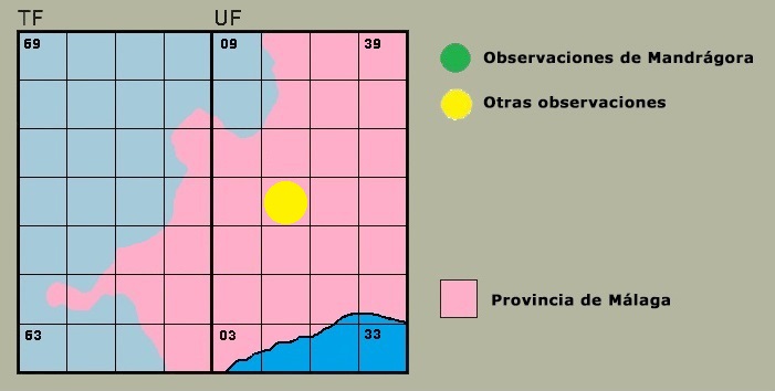 Distribución de Lestes macrostigma en la Serranía